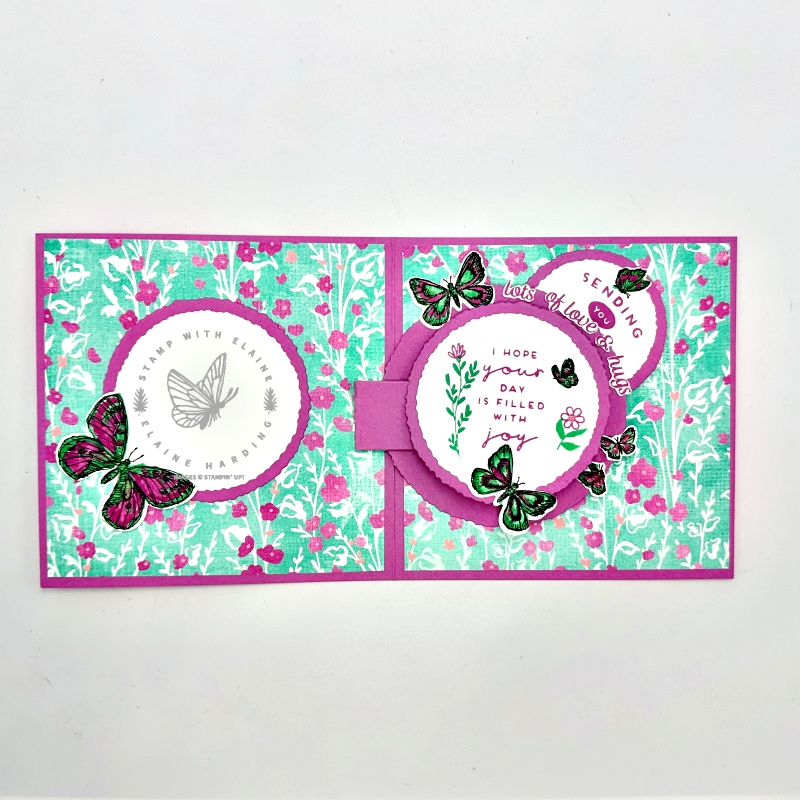 inside the. Petunia Pop rotating circles pop up card with Sketched Butterflies.