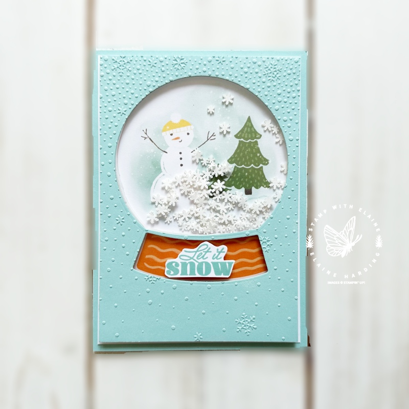 Die cut round snow globe shaker card Pool Party card with Snowy Scenes.