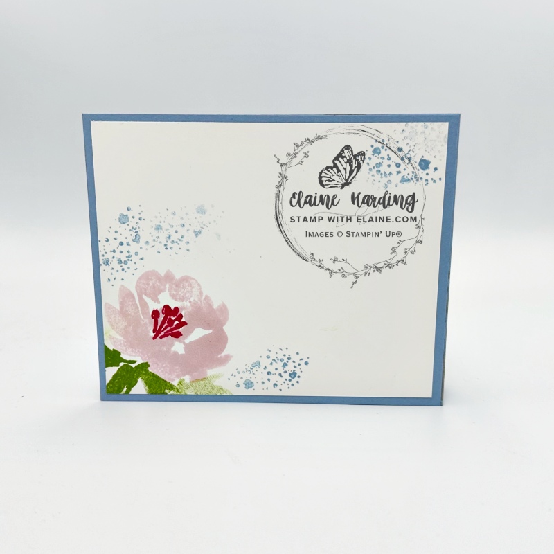 back of card Textured Floral  double box fold