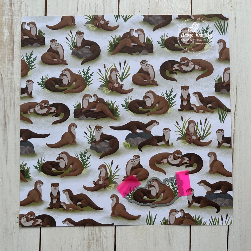 otterly amazing 12x12 dsp corresponding otter diex1