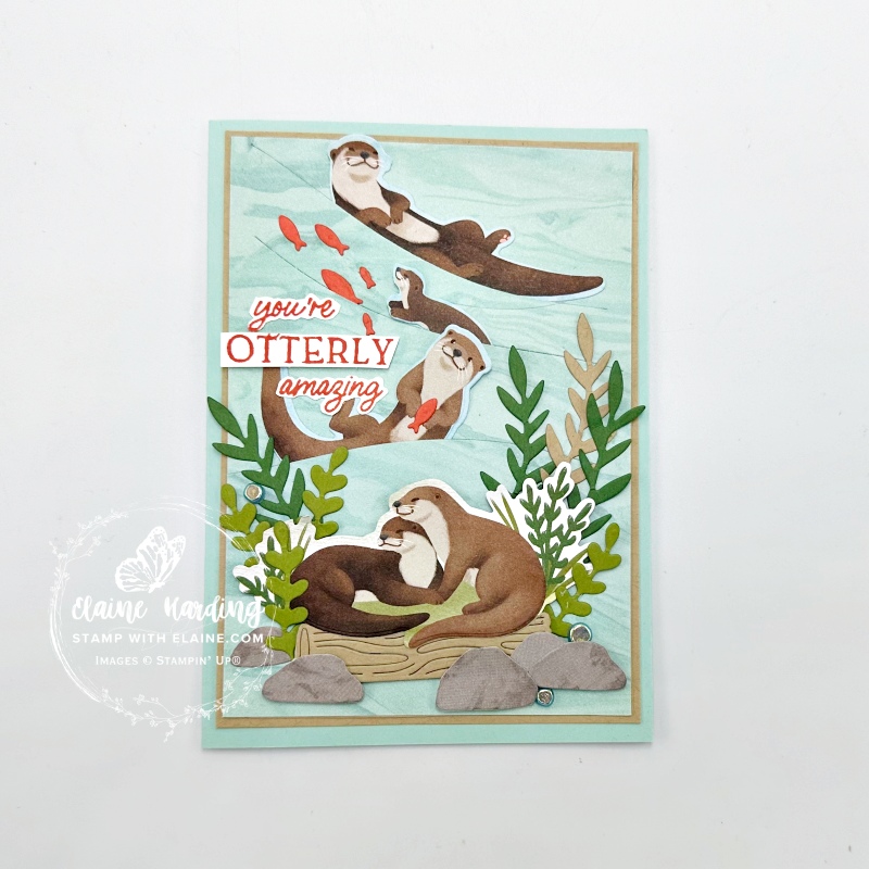 front pool party otterly amazing card