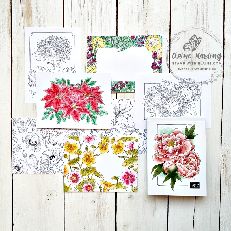 coloured line drawings from Natures Painting kit