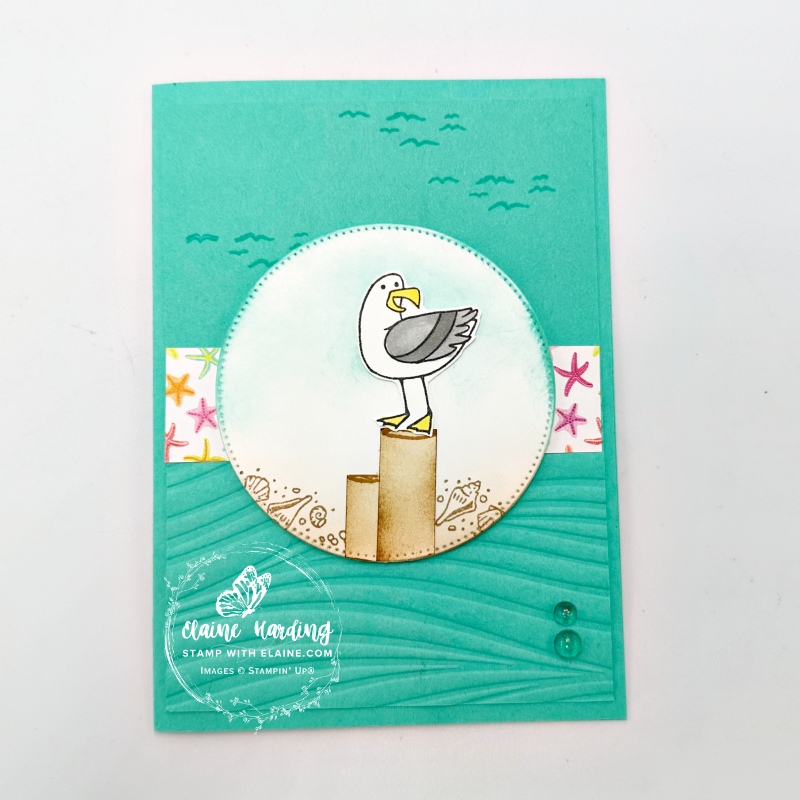 Summer Splash card with Friendly Seagulls