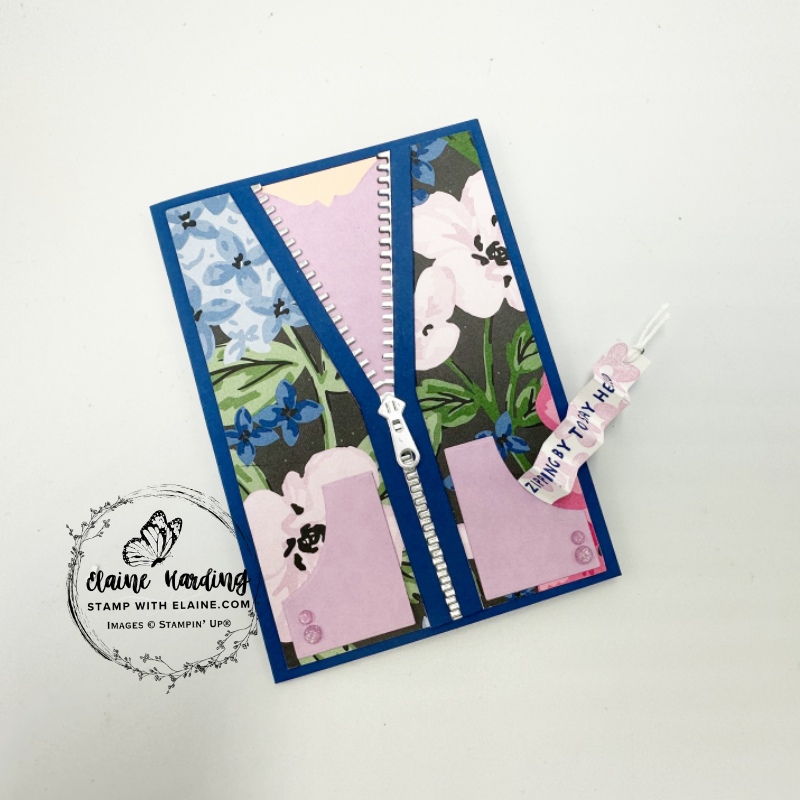 Blueberry Bushel All Zipped Up car