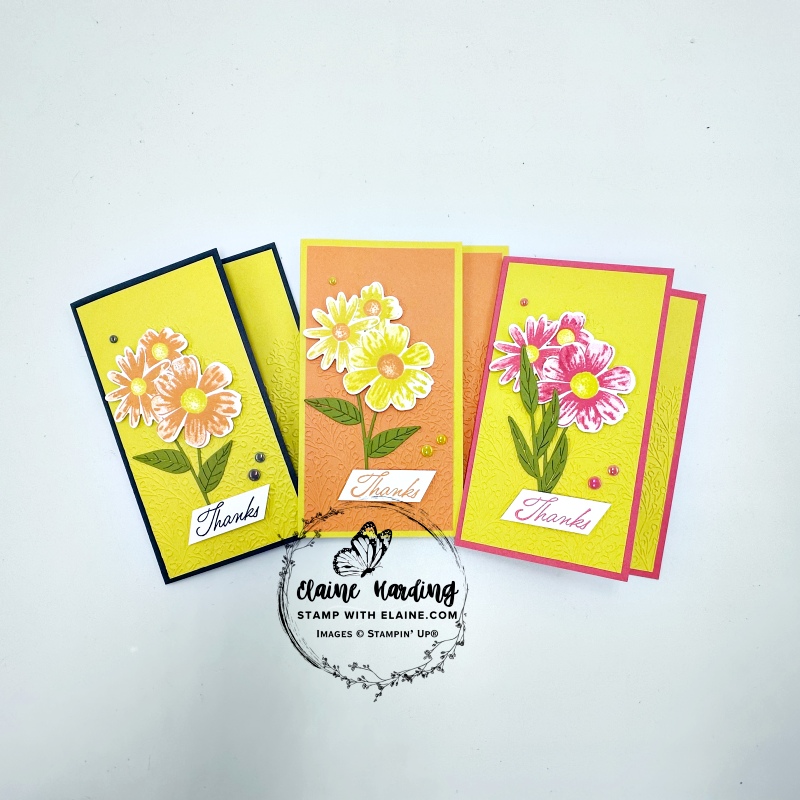 3 new in colours with impressions abloom bundle