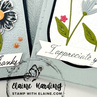 snk pk 2nd new in colours 25-27