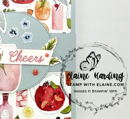 snk pk card closed w_belly band