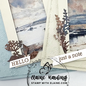 snk pk - Two cards - Gallery Blooms