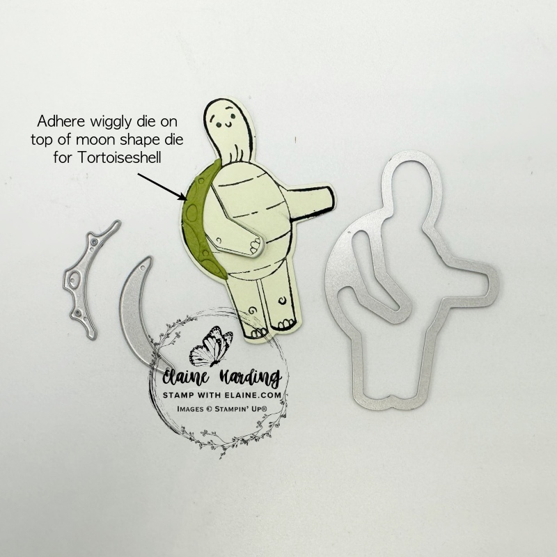 Tortoise shell - how to assemble