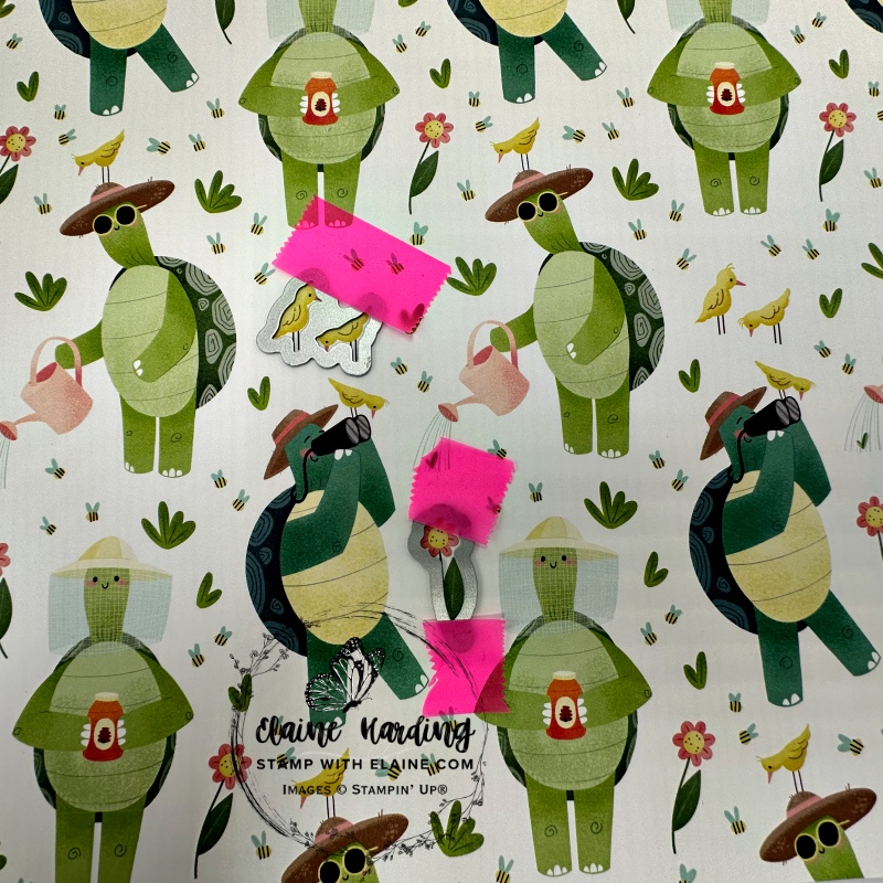 Corresponding dies on gardening sheet of Turtle-y Cute DSP