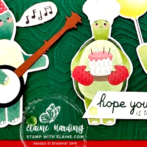 snk pk bday turtley awesome