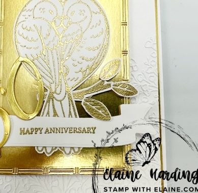 snk pk Feathered Fun gold ann card