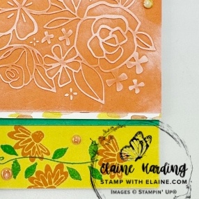 snk pk Blooming phrases