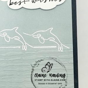 snk pk along these lines