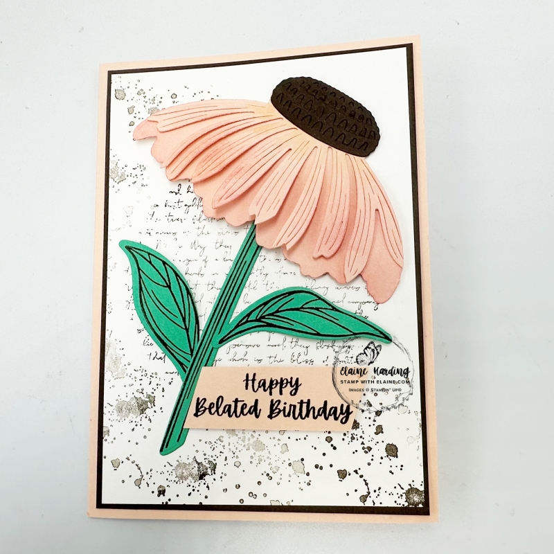 Petal Pink belated birthday card with coneflower celebration bundle