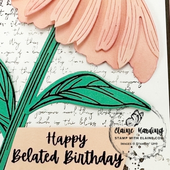 snk pk coneflower belated bday