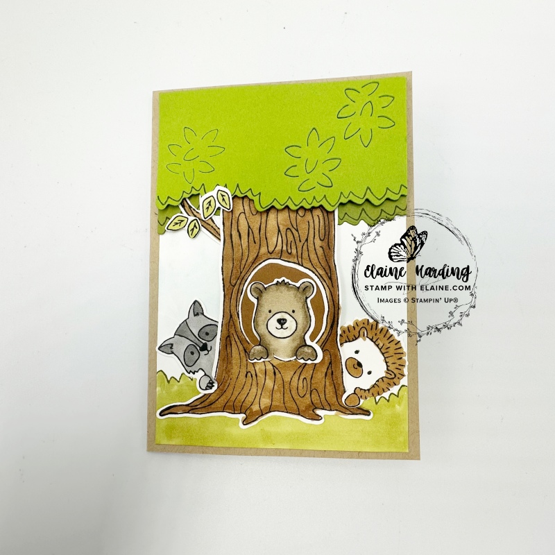 Crumb Cake general card with Peekaboo Forest online excousive