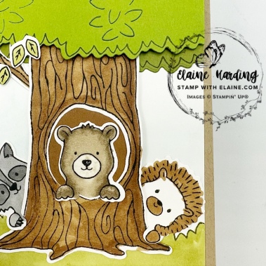 snk pk peekaboo forest