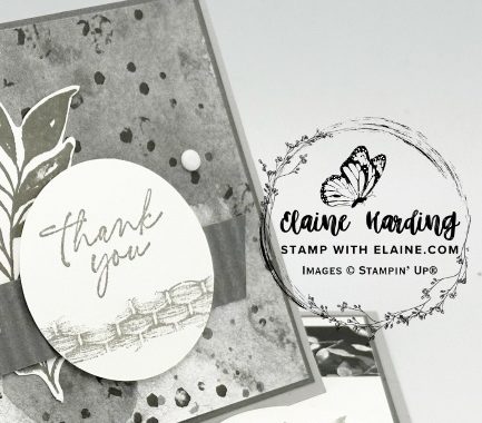 snk pk corner easel open