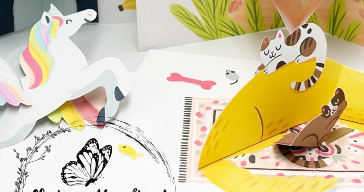 snk pk all 4 pop up kit cards