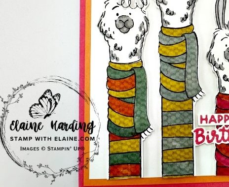 snk pk front long time no see llama trio