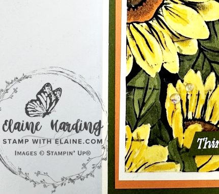 snk pk sunflower 3D e_f thinking of you card