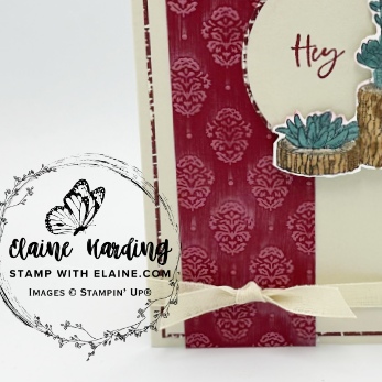 snk pk T4SBH July 25