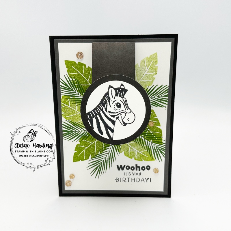 flip flap basic black silly safari card