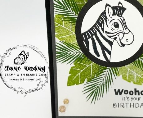 snk pk flip flap silly safari front