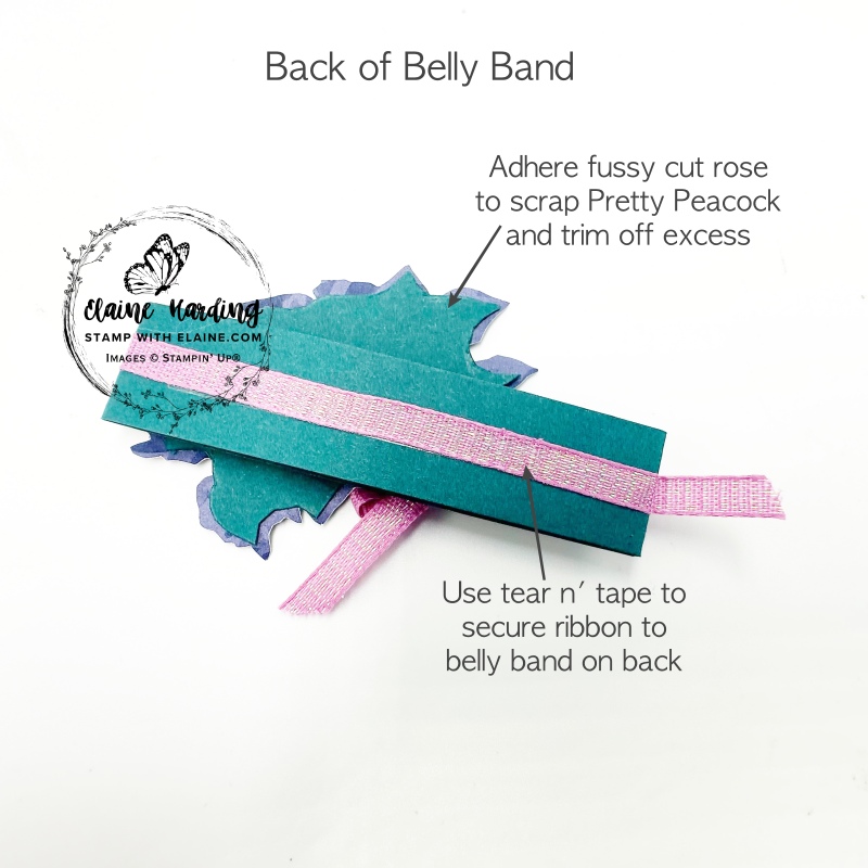 back of pretty peacock belly band of gatefold card