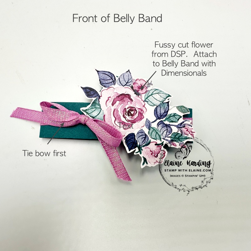 front of Pretty Peacock belly band for gatefold card