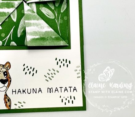 snk pk pinwheel silly safari