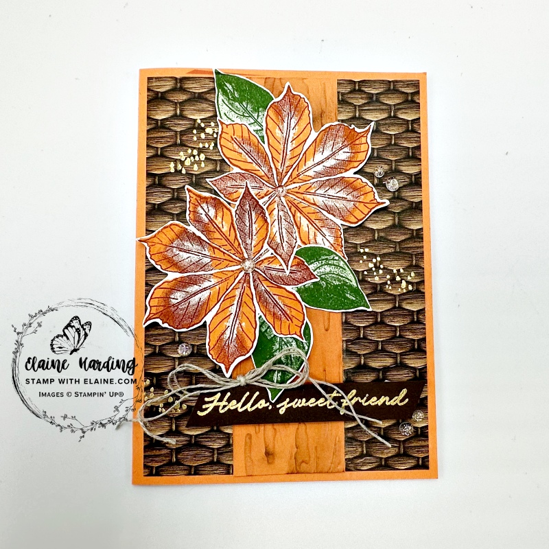 timid tiger autumn artisitic leaves card