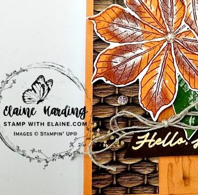 snk pk autumn artisitic leaves