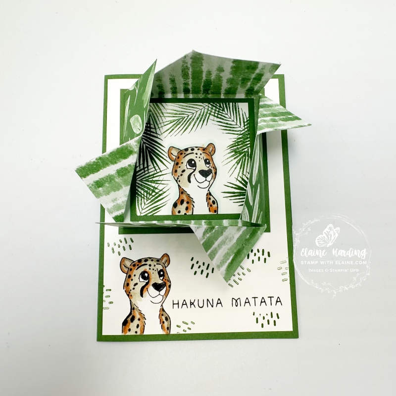 pinwheel topper open on card front silly safari