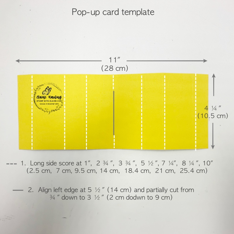 Pop-up card template