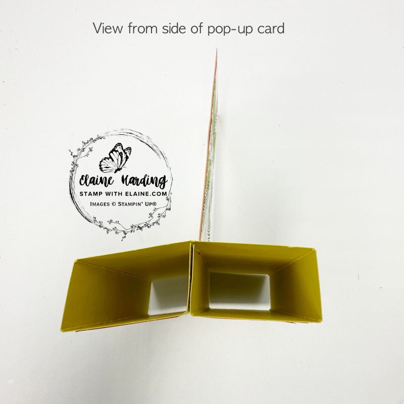 view from the side of pop-up card