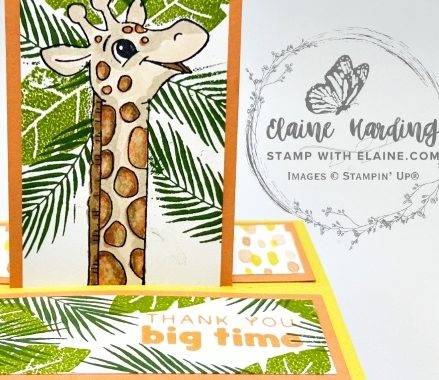 snk pk pop up silly safari giraffe