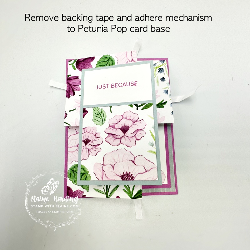 Removing backing tape from corner fold mechanism