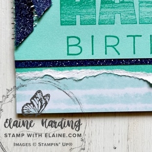 snk pk bday happy place