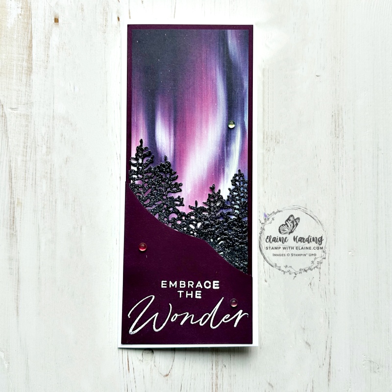 Blackberry Bliss Light & Wonder bundle