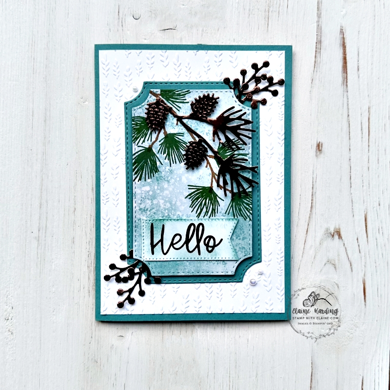 Lost Lagoon embossed Branching out all occasion card