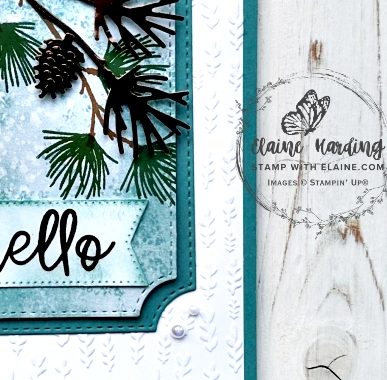 snk pk front Branching Out