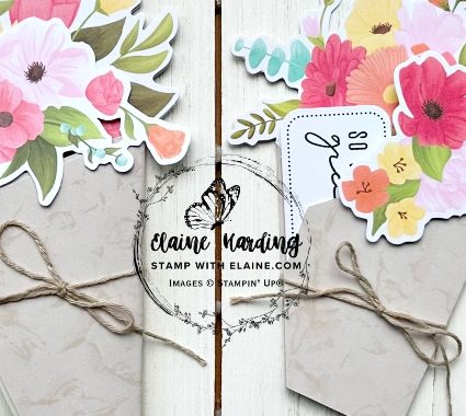 snk pk bunch of thanks