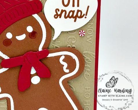 snk pk Gingerbread Man CCD2