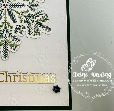 snk pk embossed Shaded Spruce Delicate Pines