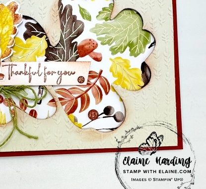 snk pk gathering moments