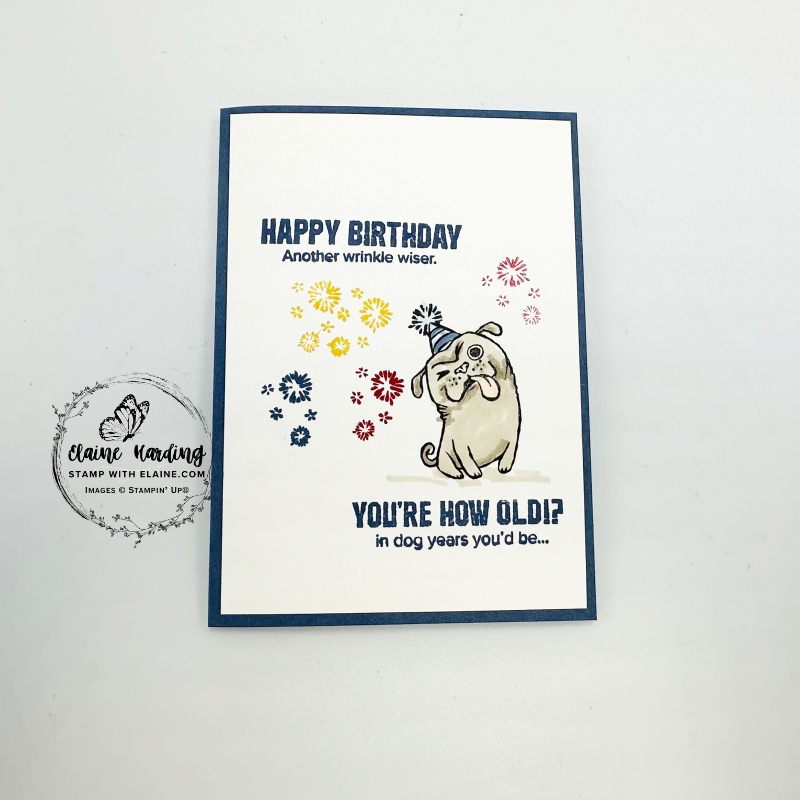 Misty Moonlight birthday card with one more year.