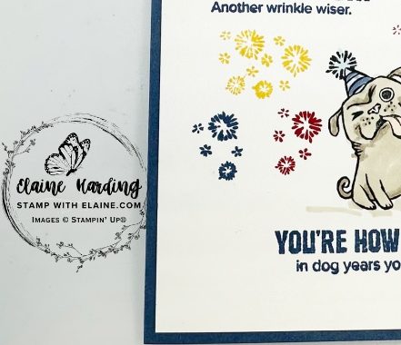 snk pk front male bday card one more year