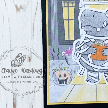 snk pk pre-cut rhino spooky halloween